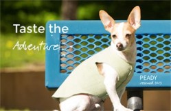 With a range extending to hundreds of products With a range extending to hundreds of products